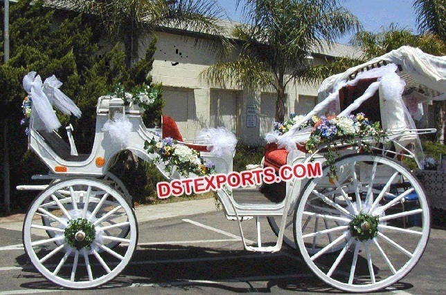 Elegant Vintage Horse Carriage