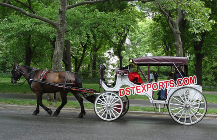 Beautiful Horse Drawn Coaches Carriages