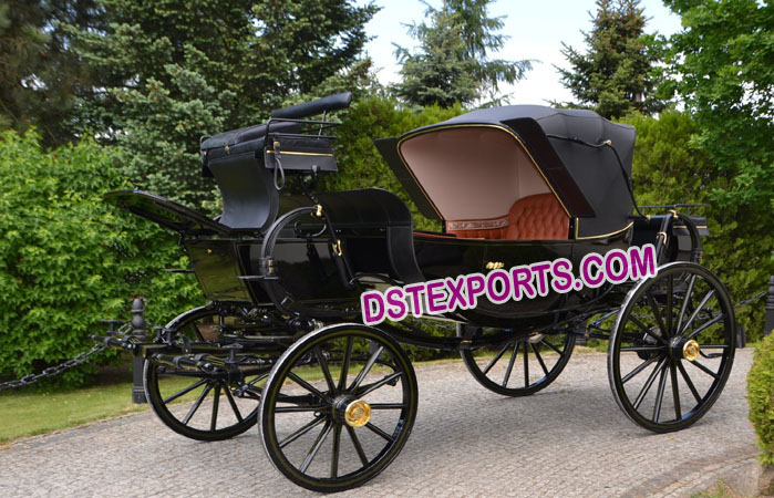 Royal Black Horse Carriage Buggy
