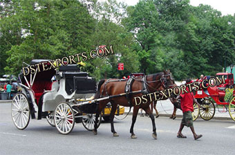Center Park Touring Horse Carriage
