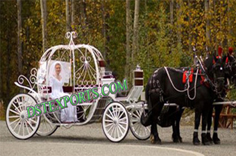 Wedding Bride Touring Cinderella Horse Carriage