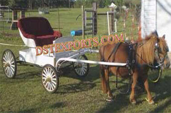 Small Pony Horse Carriage