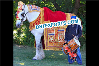Indian Wedding Decorated Horse Howdah