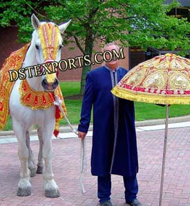 Decorated Wedding Horse Costumes