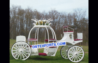 Elegant Cinderella horse Carriage