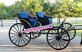 New Horse Drawn Carriage