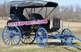 New Two Seater Limousine Carriage