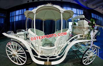 Traditional Lovely Horse Carriage