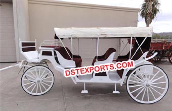 White Horse Drawn Carriages For Hotel Tour
