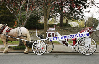 Luxury Victoria Horse Drawn Carriages