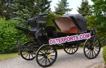 Royal Black Horse Carriage Buggy