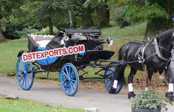 Presidential Horse Drawn Buggy Carriage