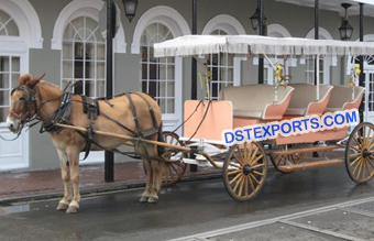Horse Drawn Limousine Buggy Carriage