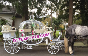 White Cinderella Horse Carriage For Wedding