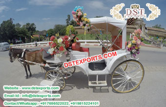 New Touring Horse Drawn Carriage