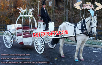 Gorgeous  Wedding princess Cinderella buggy