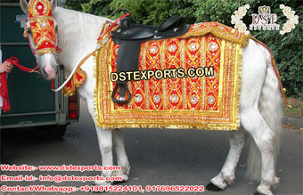 Indian Heavy Embroidered Horse Costume