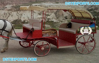 New Horse Carriage/Vehicle for Touring