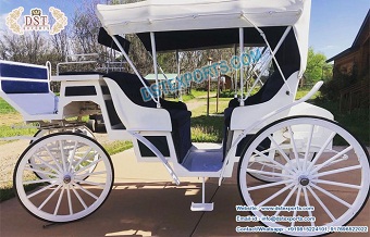 White Finish Horse Drawn Vis-a-vis Carriage