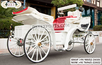 Classy Canadian Victoria Horse Carriage