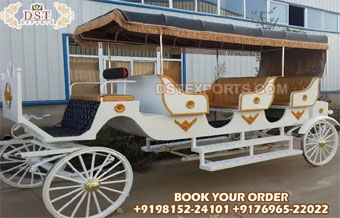 Sightseeing Long Horse Driven Wagon with Canopy