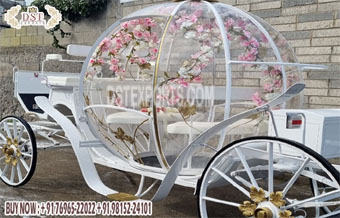 Popular Pumpkin Style Horse Drawn Carriages